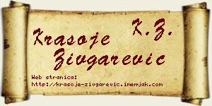 Krasoje Zivgarević vizit kartica